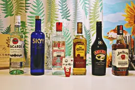 干货 |5款酒，打造家庭酒吧，带你少走弯路，开心喝酒！图片
