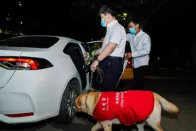 导盲犬请上车 | 深度报道图片