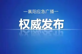 刚刚发布！襄城、樊城、襄州中小学校招生划片方案出炉图片