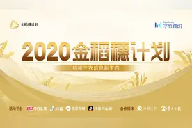 下一个巧妇9妹，我们在找你图片