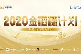 下一个巧妇9妹，我们在找你图片