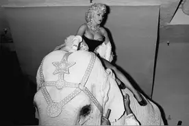 旧影拾记：1955年，玛丽莲·梦露骑大象表演马戏的台前幕后图片