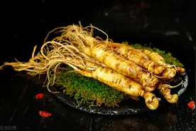 采参图：采参客被日寇洗劫，绑在树上喂蚊子，大黄狗咬断绳索救人图片