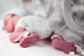 东方时评丨早产儿“死而复生”，该拯救的是医德图片