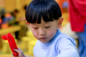 乐高太贵？这10个品牌积木玩具购买指南请收好图片