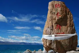 西藏湖里裸鲤超过数亿斤，为什么没人去捕捞？图片