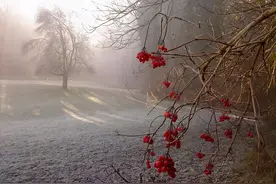 一生，一世，一双人图片