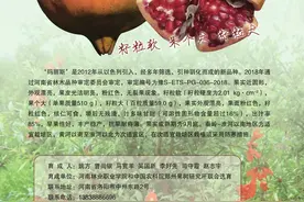软籽石榴玛丽斯栽培技术要点图片