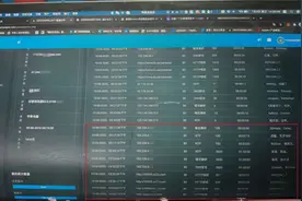 17岁少年为躲疫情着急回国，买不到机票心生不满，利用黑客让航空系统“停摆”4小时图片