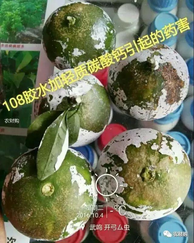 5类柑橘防晒剂大PK,优缺点详细介绍，究竟谁是下一个翘楚？