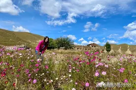 我的旅行——四川篇（五）旅行归程与尾声图片
