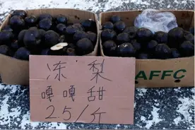 美女网购10斤“东北冻梨”，吃后给差评，吃法让人哭笑不得！图片