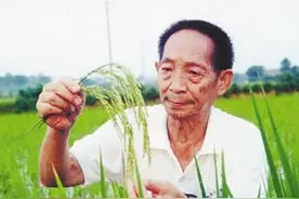 最可爱的袁隆平爷爷入驻抖音，一天的时间粉丝破1000多万图片