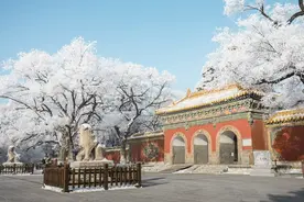 撕掉东北一哥的标签，这座城依旧鲜活图片