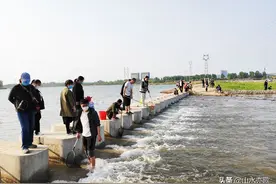 石家庄母亲河，舟行碧波画中游，想不到还有这么多有趣好玩的地方图片
