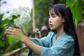 已经消失65天的李子柒，到底发生了什么事？图片