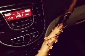 别人用来盘，他拿去防身，方圆十里地没人敢挑战图片