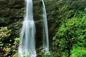 江西老表遍天下图片