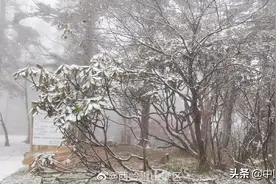 拉尼娜开始发威？四川成都局部大雪纷飞，分析：其实比较正常图片