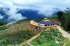 大山深处领头雁图片