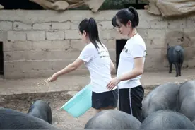 喂猪13年，母猪去世后主人剖开猪肚后，不料发现千万“遗产”图片