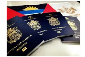 明明不被允许，那些持双重国籍的中国人，是如何低调掩饰身份的？图片