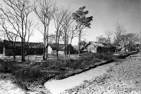 上海知青方锡峰历经生活磨难，珲春妻子的大爱彰显了母性光辉图片