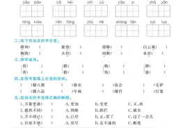 人教版六年级语文下册定制课时同步练习册含11份试卷图片