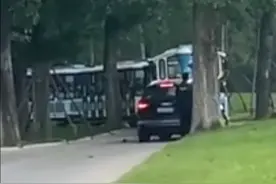 北京野生动物园回应自驾游客下车：正在核实图片