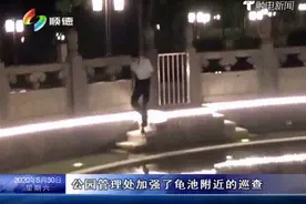 数十只乌龟突然消失了……年度奇葩警情，超出编剧想象图片