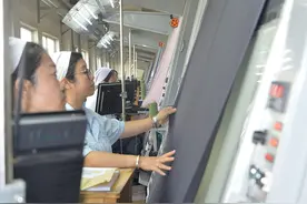 新区这家“国家级绿色工厂”强在哪？图片