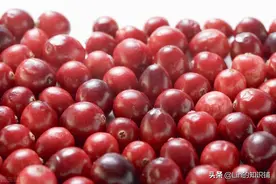 12个趣味冷知识：虽然有些冷门奇怪，但却足够吸引人图片