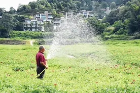 你信吗？株洲这里的乡村把童话变成了现实，田园变农庄，乡村变花园~图片