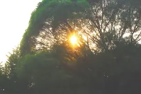 免费！四环内超大欧式花园，野花遍地蝴蝶翩翩起舞，晚霞绿树草坪美成油画，竟然火出圈了！图片