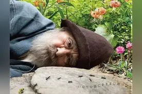 这辈子，用自己喜欢的方式度过一生(深度好文)图片