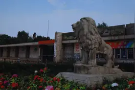 再见，西郊动物园！再见，那段童年回忆图片