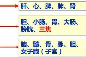 中医基础理论——藏象学说图片