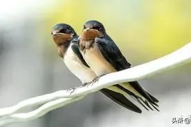 人与人之间的安全距离图片