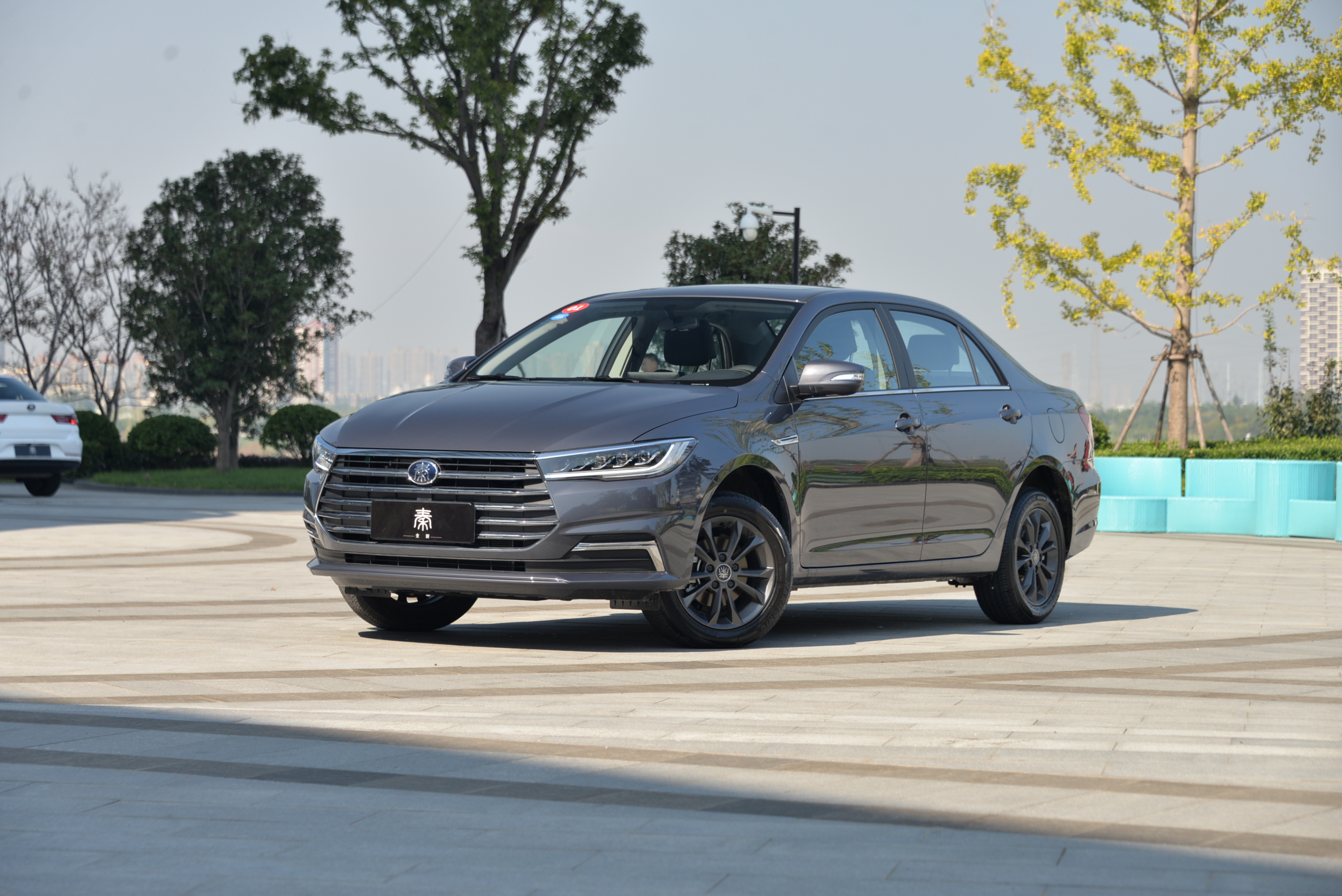 全新秦EV价格_比亚迪全新秦家族_新比亚迪f3哪个配置好