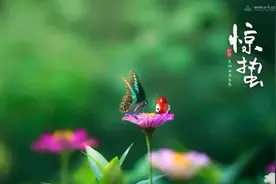 “惊蛰闻雷米如泥”，惊蛰打雷有什么说法，好不好预示着什么？图片