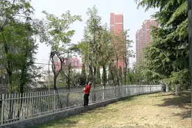 曝光｜“采花大盗”又出没，你就不能手下留情？图片