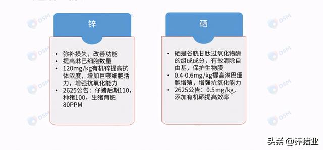 李曼大会听课笔记连载（二）（母猪营养、生长速度、应激、无抗）