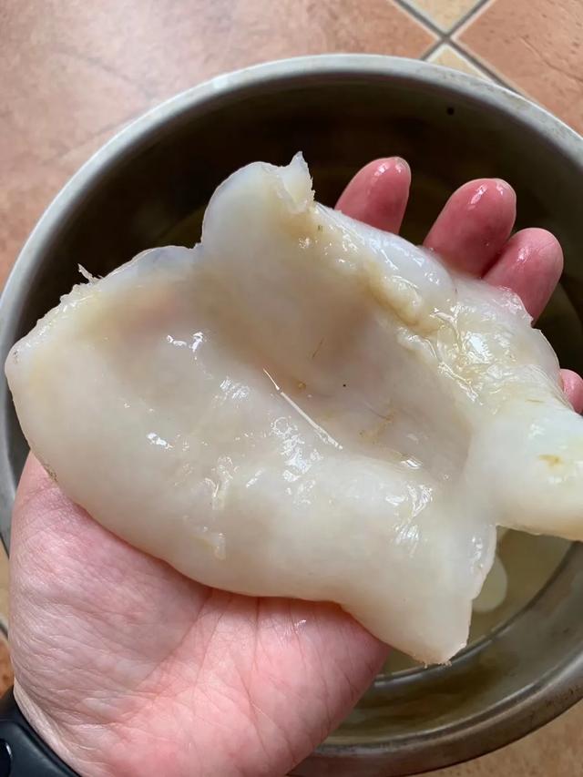 蝴蝶胶怎么吃 蝴蝶胶吃法