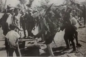 放下吃奶的娃娃，大嫂主动请缨给解放军带路图片