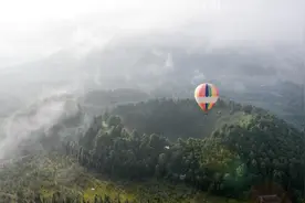 石头不沉水，鱼儿会爬树，山头没脑袋，腾冲十八怪，你说怪不怪？图片