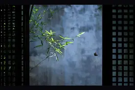 散文｜一方幽室图片
