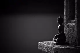 智慧：灵魂高处（深度好文）图片