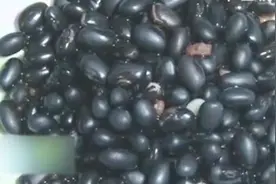 秋季养生滋补吃粗粮之 掉皮的掉色？黑豆也有假冒的？视频封面
