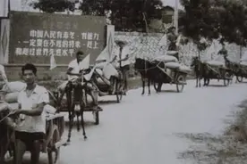 农民当年缴纳的公粮可当社保吗？专家:一码归一码！你怎么看？图片