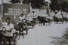 农民当年缴纳的公粮可当社保吗？专家:一码归一码！你怎么看？图片